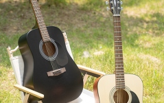 Cort AD810 OP