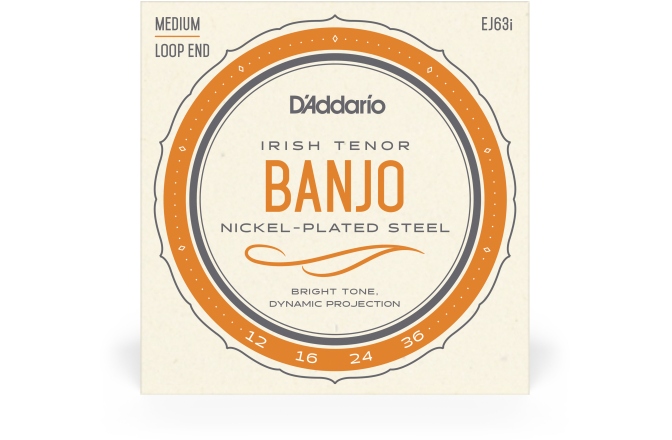 Corzi Banjo Daddario EJ63i Irish Tenor 4 Strings 12-36