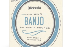 Corzi Banjo Daddario EJ69 5-String PB Light 9-20