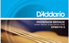Corzi bas acustic Daddario EPBB170-5 Ph Bronze Acoustic Bass 45-130