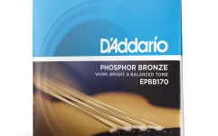 Corzi bas acustic Daddario EPBB170 Ph Bronze Acoustic Bass 45-100