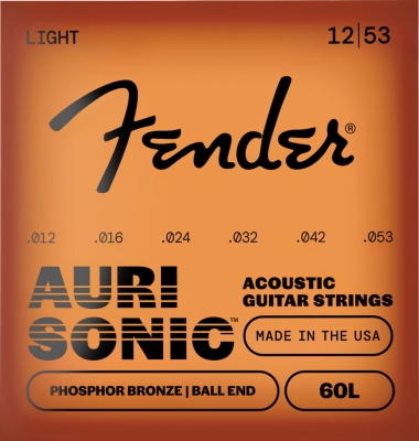 Fender Phosphor Bronze 60L 12-53