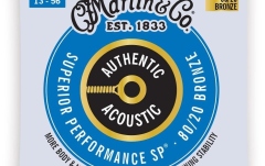 Strings acoustic guitar Martin Guitars MA-150 Authentic Acoustic Medium