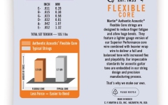 Strings acoustic guitar Martin Guitars MA-500FX Authentic Acoustic 12s Extra Light