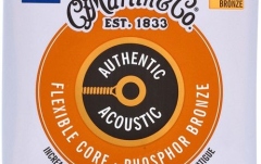 Strings acoustic guitar Martin Guitars MA-550FX Authentic Flexible Acoustic Medium