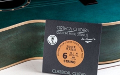 Corzi chitară clasică Ortega CMS "Authentic" for Classical Guitar - 4/4 Scale/ Regular Nylon / Normal Tension .028/.043