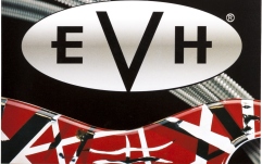 Corzi de Chitară EVH Premium Strings 10 - 46
