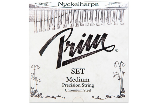 Corzi Nyckel harpa Chrome steel Set