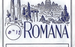 Corzi Țiteră Romana corzi titera acord Fis acompanist