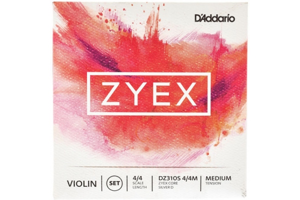 Zyex DZ310S Violin Set 4/4 Medium