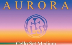 Corzi violoncel Larsen Aurora Cello Set Medium 4/4