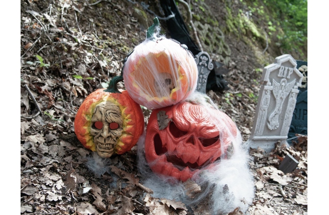 Craniu dovleac Europalms Halloween Skull Pumpkin, 26cm