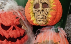 Craniu dovleac Europalms Halloween Skull Pumpkin, 26cm