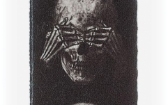 Curea chitară Daddario Alchemy Guitar Strap Muted Skulls