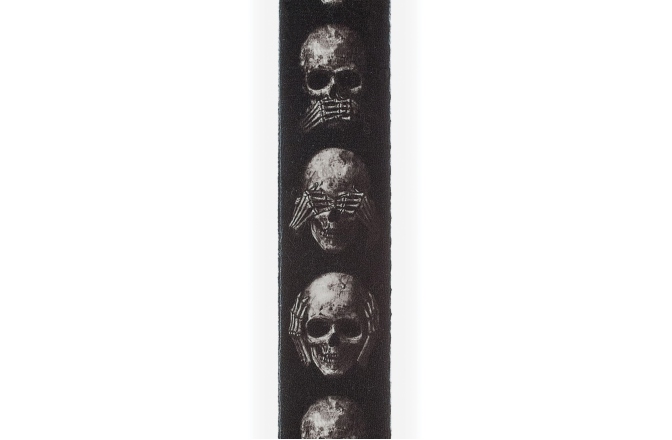 Curea chitară Daddario Alchemy Guitar Strap Muted Skulls