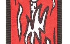Curea chitară Daddario  Joe Satriani Guitar Strap Up in Flames