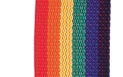Curea chitară Daddario Polypro Guitar Strap Rainbow