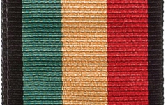 Curea chitară Daddario Woven Guitar Strap Jamaica