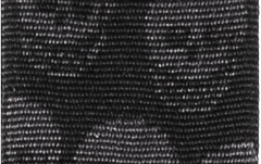 Curea chitară Daddario Woven Guitar Strap Skulls Black Tubular