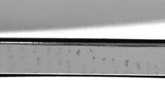 Curea Conga Meinl Conga Tuning Strap complete 11" chrome - for FL11