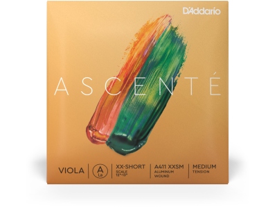 Ascenté Viola La(A) EESS MT A411 XXSM
