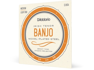 EJ63i Irish Tenor 4 Strings 12-36
