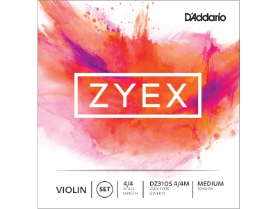 Zyex DZ310S Violin Set 4/4 Medium