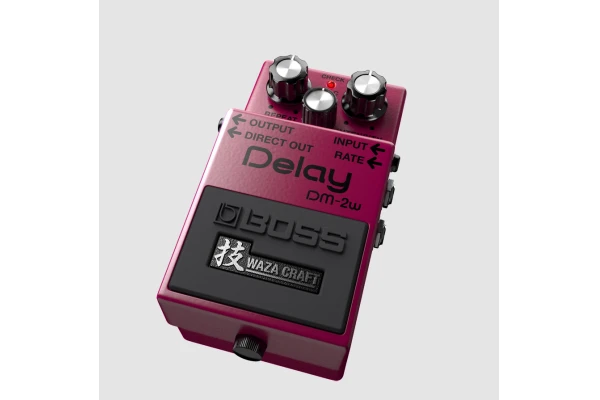 Boss DM-2W Waza Craft — 2