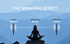 Diapazon meditaţie Meinl Binaural Therapy Tuning Fork, Gamma 188 Hz