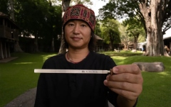 Diapazon terapeutic Meinl Sonic Energy TCM Therapy Tuning Fork, Fire 192 Hz