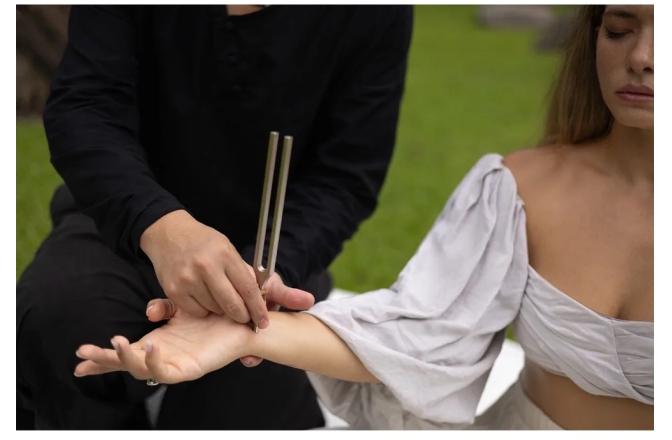 Diapazon terapeutic Meinl Sonic Energy TCM Therapy Tuning Fork, Fire 192 Hz