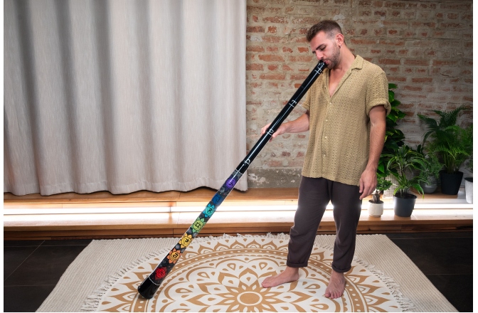 Didgeridoo Meinl Sonic Energy Chakra Didgeridoo