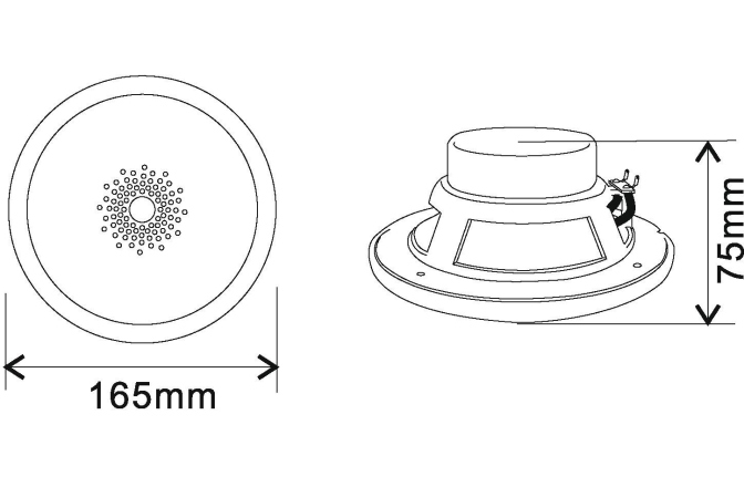 Difuzor plafon Omnitronic WF-5 Flush-Mount Speaker
