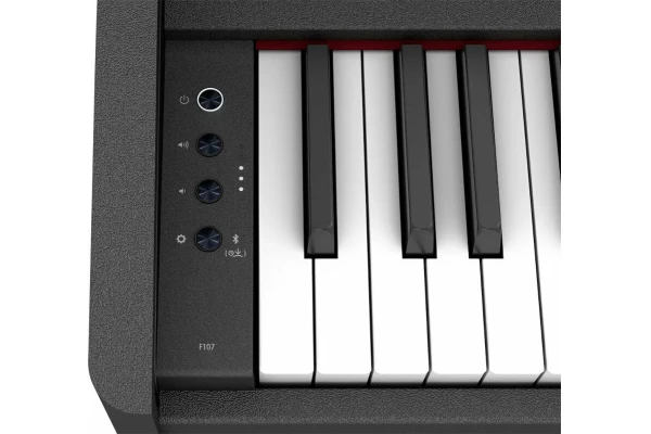 Roland F-107 BKX — 2