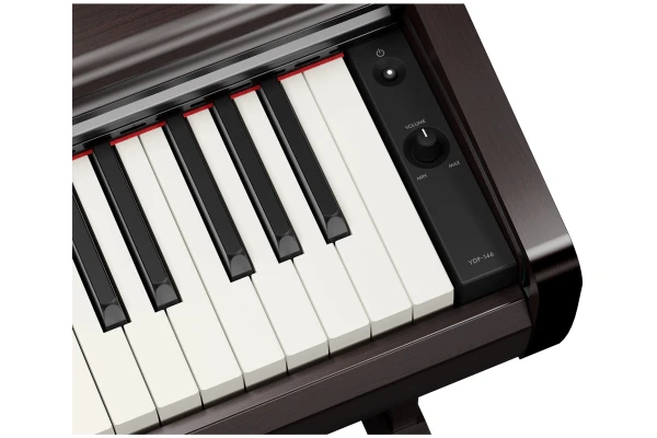 Yamaha YDP-146 Arius - Rosewood — 4