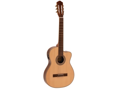 TB-100 Classical guitar, nature