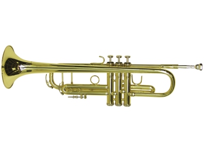 TP-20 Bb Trumpet, gold