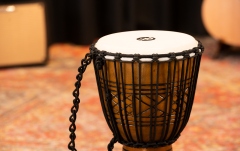 Djembe  Meinl HRTAS Djembe Medium - 10" Brown