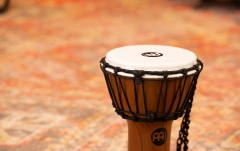 Djembe Meinl Junior Djembe 7 - Twisted Amber