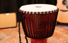 Djembe  Meinl TSA Djembe - Pharaoh's Script, Extra-Large - Synthetic Head