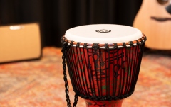 Djembe  Meinl TSA Djembe - Pharaoh's Script, Large - Goat Head