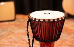 Djembe  Meinl TSA Djembe - Pharaoh's Script, Medium - Synthetic Head