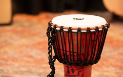 Djembe  Meinl TSA Djembe - Pharaoh's Script, Small - Synthetic Head