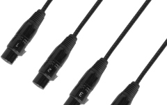 DMX și Audio prin CAT Adam Hall 4 STAR CATBOX XF5