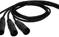 DMX și Audio prin CAT Adam Hall 4 STAR CATBOX XM5