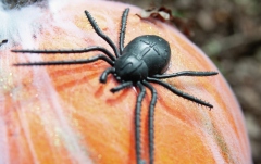 Dovleac în plasă de păianjen Europalms Halloween Pumpkin in Spider Web, 25cm