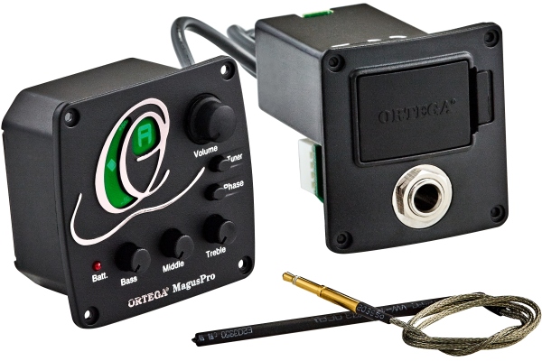 Preamp with built in tuner - for acoustic basses Preamp with built in tuner - for acoustic basses
