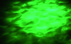 Efect de apa Eurolite LED-H2O IR