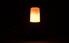 Efect de flacără LED Omnilux LED AF-30 E-27 Flame Light
