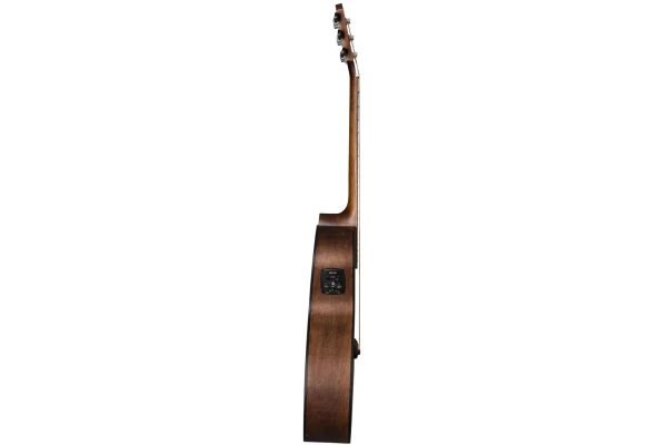 Baton Rouge AR21C/ACE Auditorium Cutaway — 4
